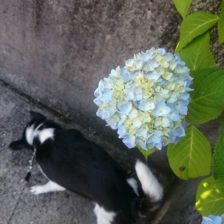 D702d0f3 2fb2 4870 beef 47071b5efa01