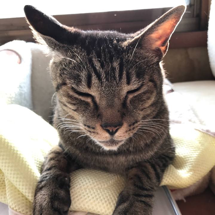 D7032f0c 6e50 4d46 82fd 82422bcef8bd