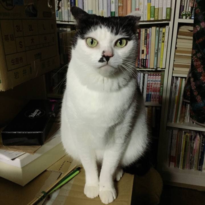 D7038a84 73c3 47c9 bd86 c27baca3db89