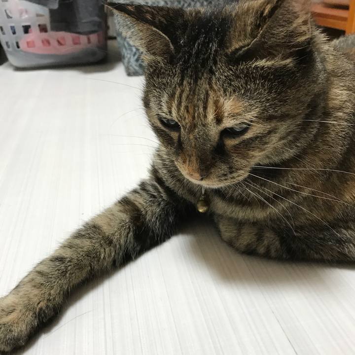 D7040d8e 0f58 47f4 8515 7163c63c24a3