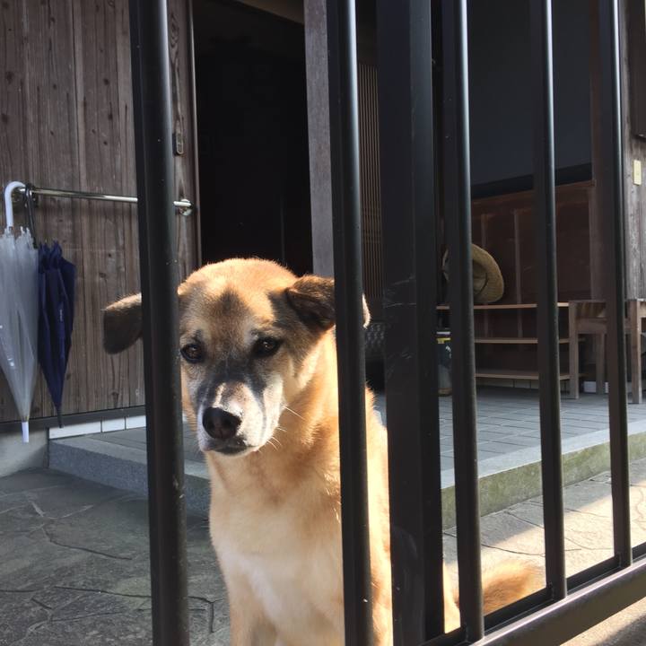 D70503b6 8ccb 4e3d b263 57b9a38e392c