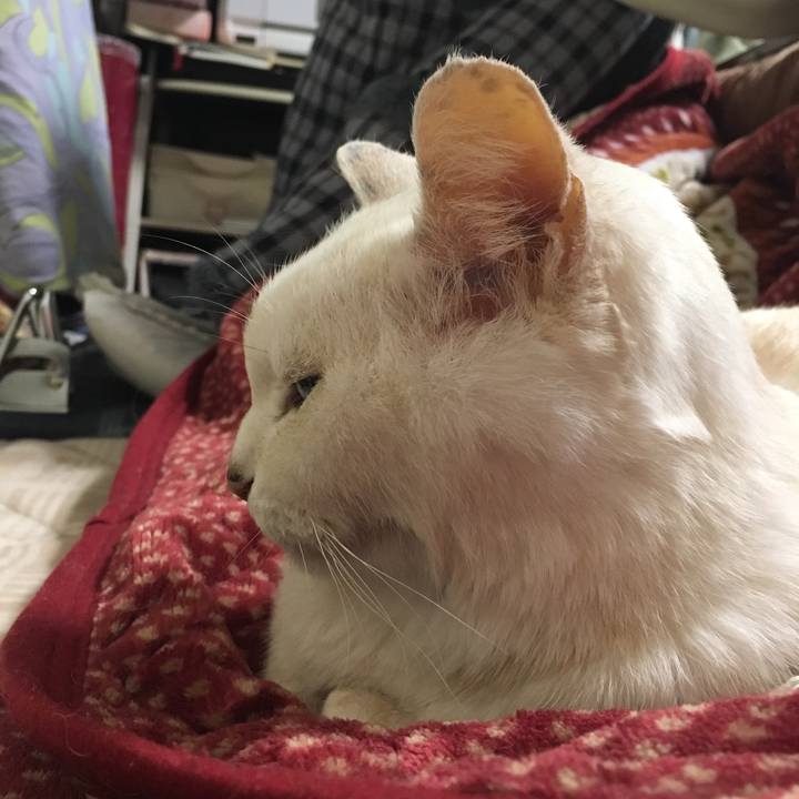 D705607d 721d 4889 b347 1ca7d5776f42