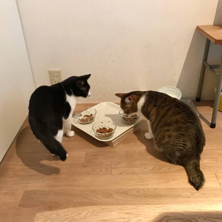 D7059fcf 197d 4092 af5b a635076e2378