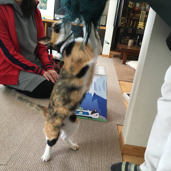 D706054d a2f2 4bbb be8a 3d924b64e3cc