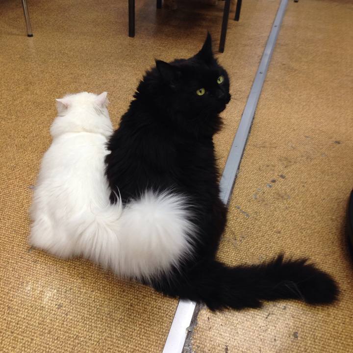 D7066680 3193 4d92 9d47 3ebb96c59eb8