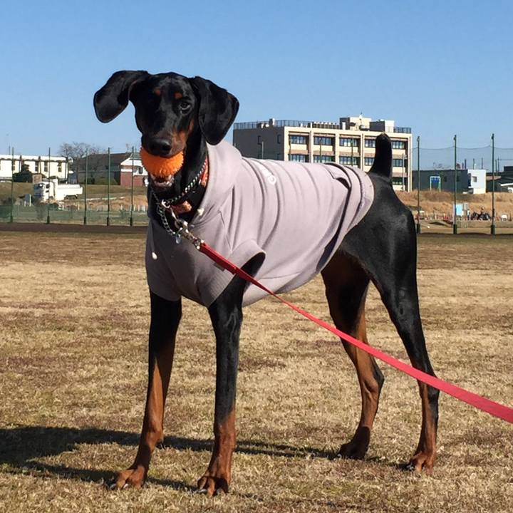 D706bb0a 6a3a 48cf a3ca f3dca058a4e3