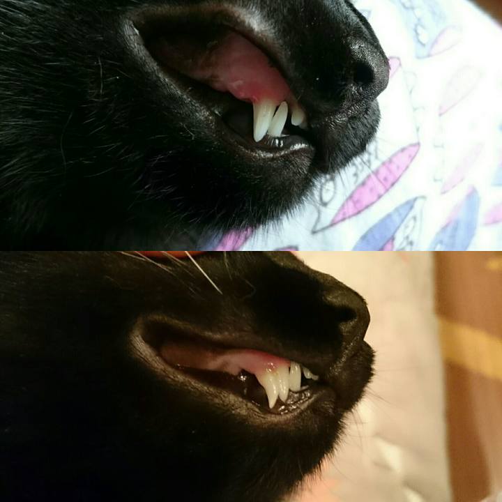 D706e513 6854 4afe ae88 a308733ca1ce