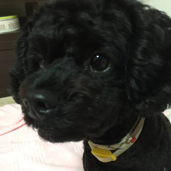 D706f750 9966 4438 b476 b80fa0af717f