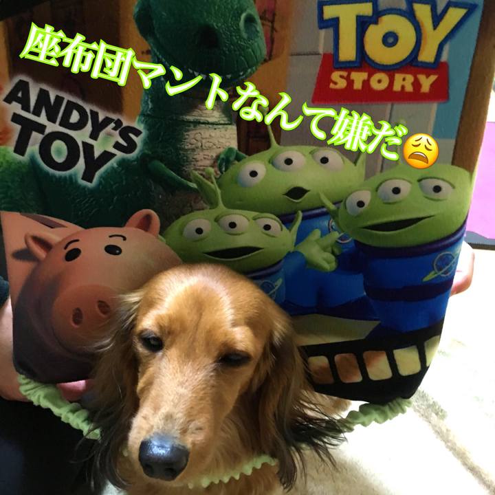 D70711df b751 4efe ae39 a16728b2688f