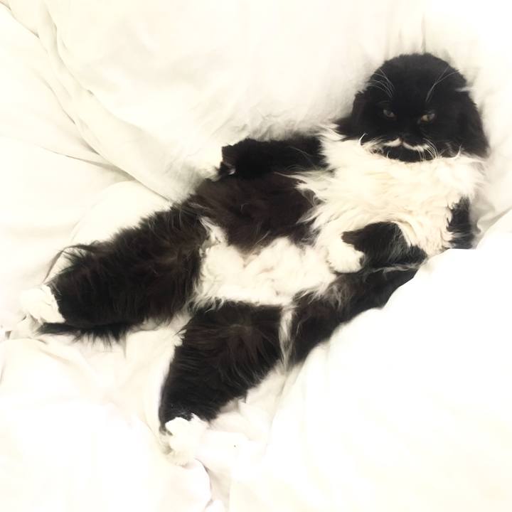 D7075475 e70b 494b a76b 4071adf47a19