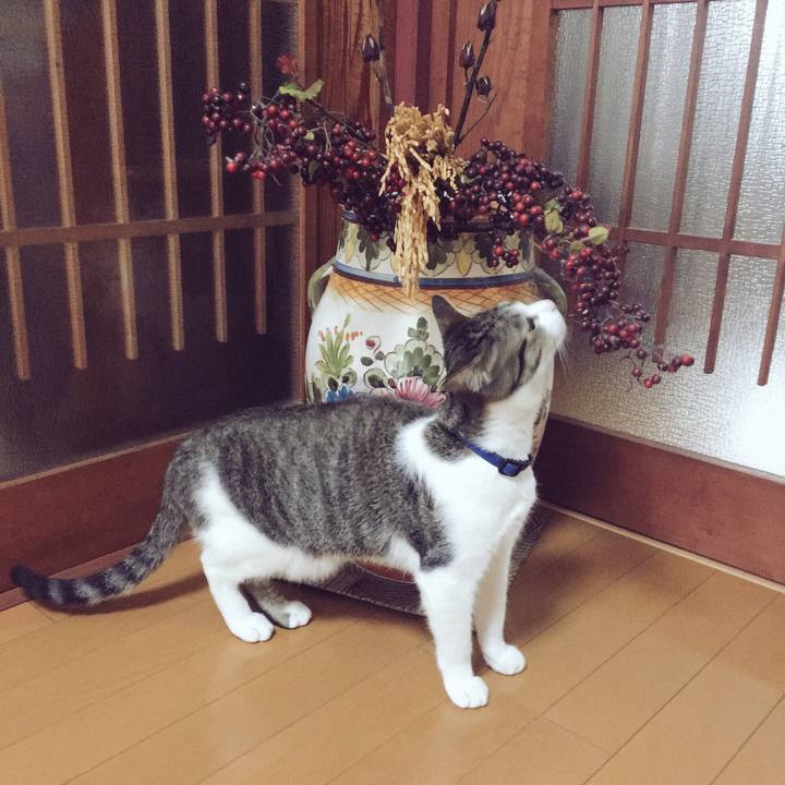 D7081daf 2d0b 4aa3 b91d 73d7944b0d69