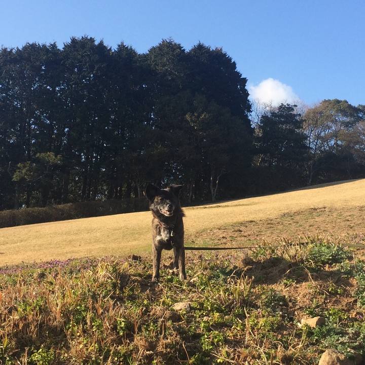 D708aa08 a545 4309 a811 ef12601cd672