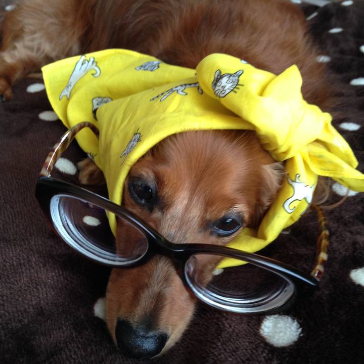 D708e704 f394 43aa ad2e efcaf0ed980f