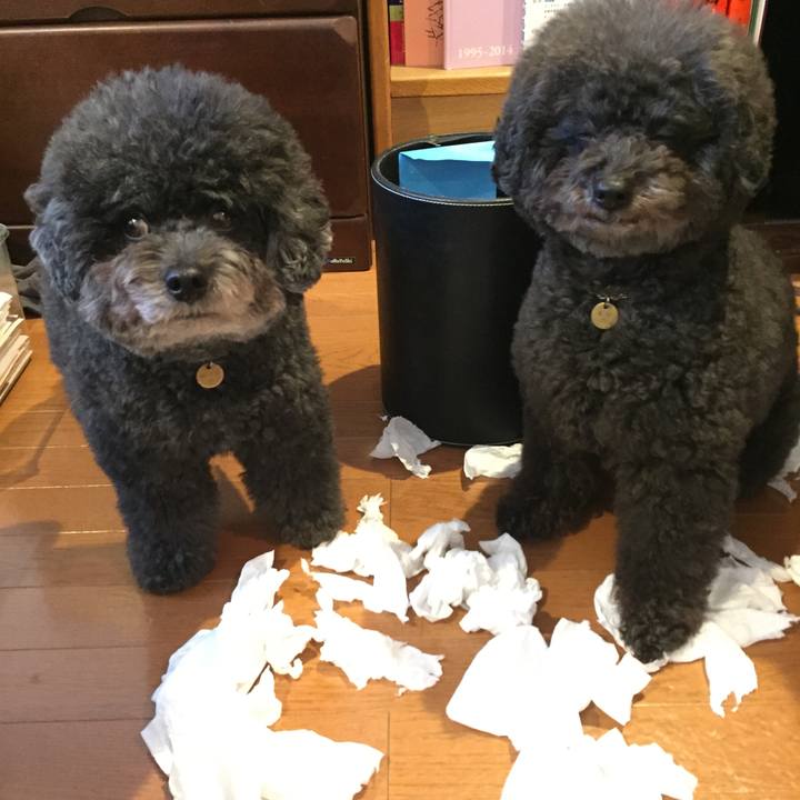 D7096dc7 0dbf 45b3 a944 40b89658d4a5