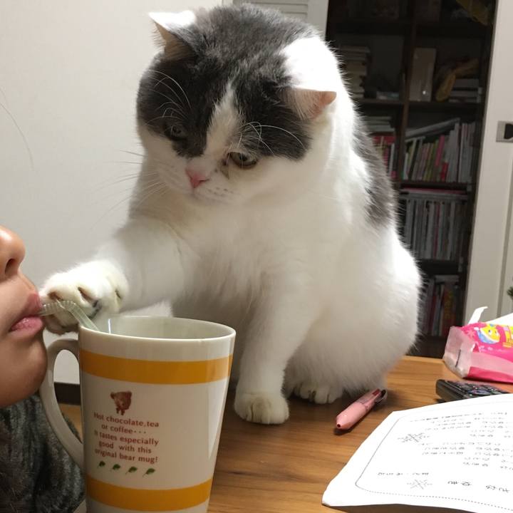 D7098123 92ef 462f b463 c2500524266b