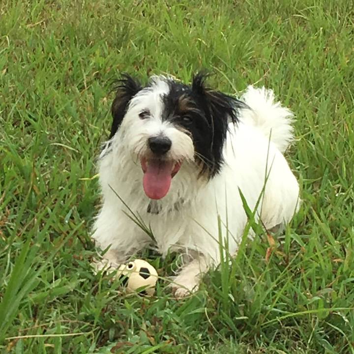 D70a616c 3ee5 4dd2 8339 341eb902ea83