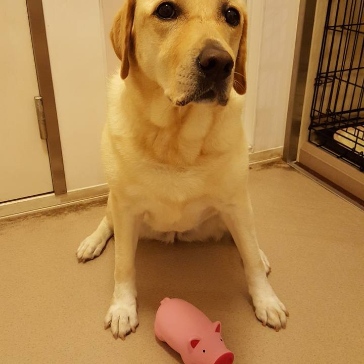 D70b2cc7 7873 4113 ba79 4bdeca2ba0f9