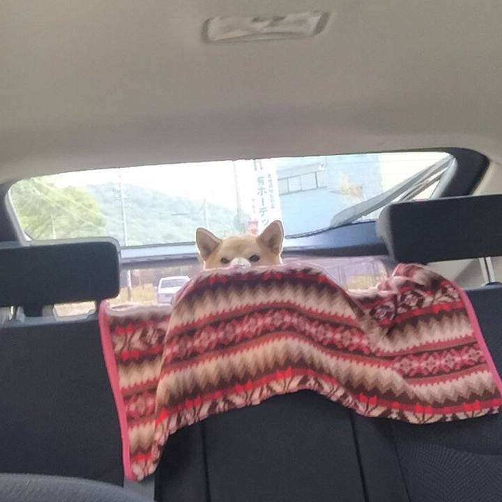 D70b8201 b1fa 4768 985f 8ae528b79219