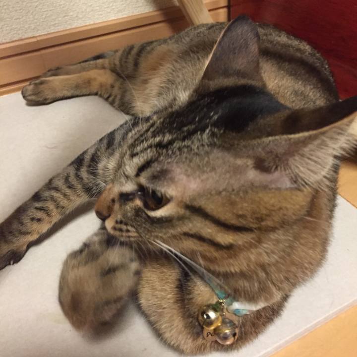 D70beac9 b73a 4203 b1b1 98b278e779ac