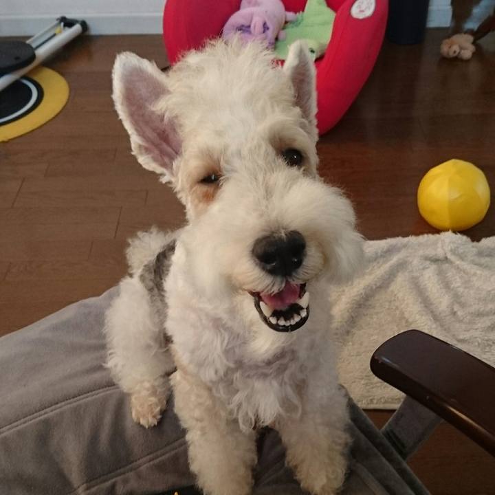 D70c82b7 a254 4d2f b87d 9c1ea8a9b2d8