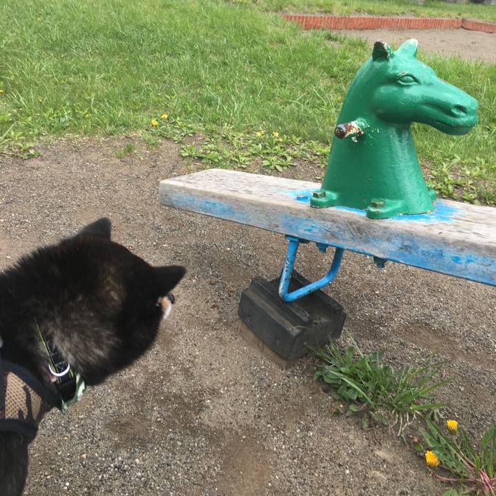 D70d99cd ee49 4fb8 9317 e55098ac7ef4