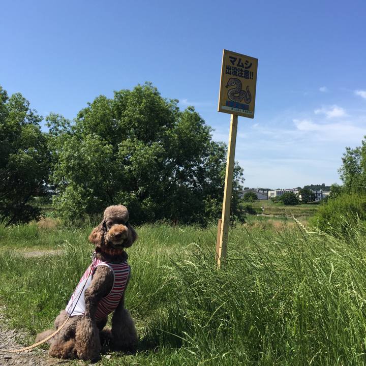 D70de720 82bf 40c9 9462 2011b8953bb1