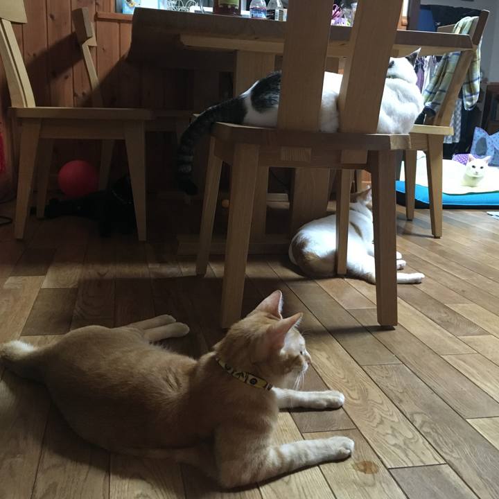 D70deb80 9ba1 4786 8b6d 8870f28fb126