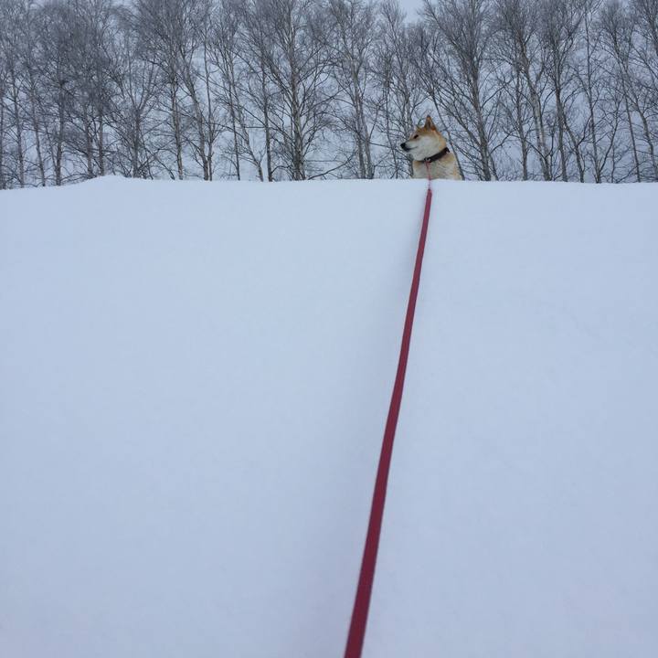 D70e17be 9891 4599 856b accc152e8380