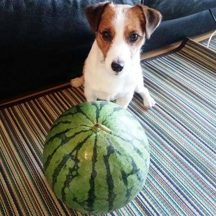 D70e4e5e 5c37 4e07 97c6 648cf7dea406