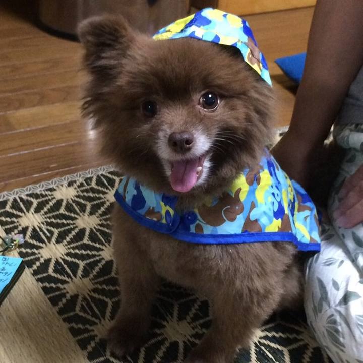 D70e5ad9 cd72 43e2 bf62 f5c2a1a6f208