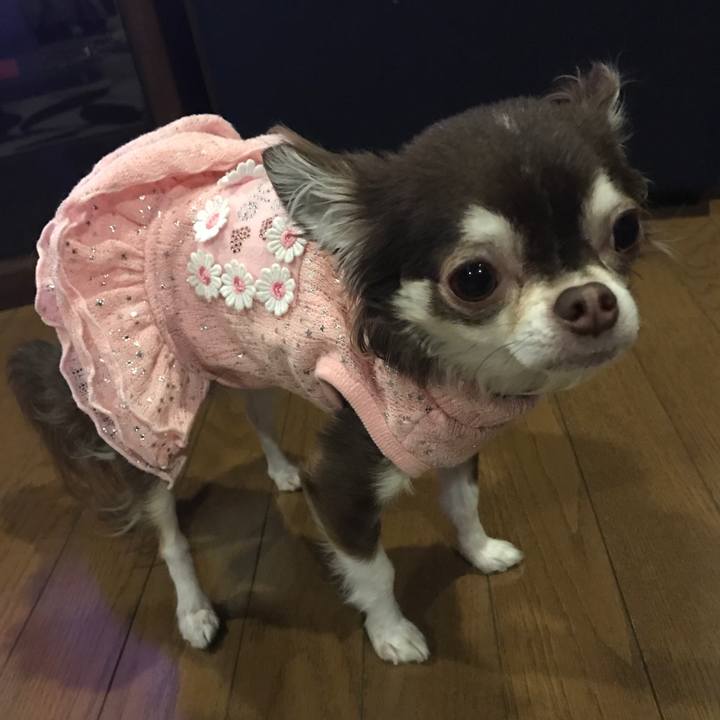 D70fb8d0 caa2 49b1 ae33 c34ea491e947