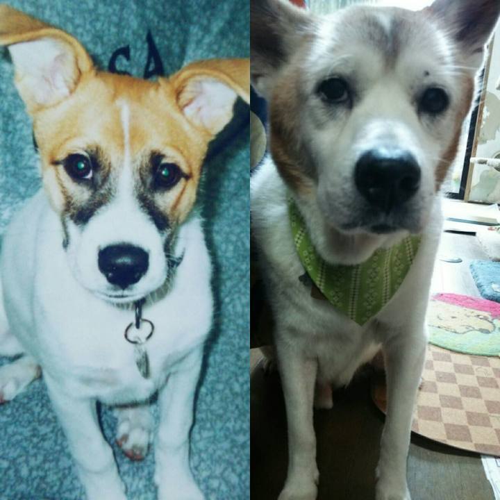 D70fd560 116b 48fa b0e8 0bb6adc17eca