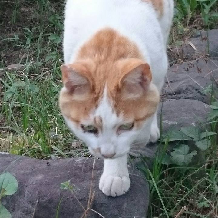 D710028a 1ae7 46d7 93aa 50bd21cdd8ef