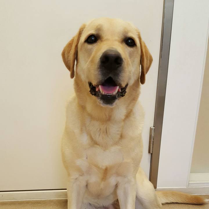 D7103419 1262 44bc a1b7 b4ebf4e2dd40