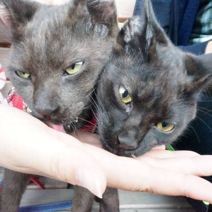 D710771d 32ac 4cf0 badd 28bcf55c3900