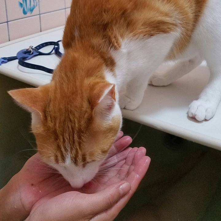 D7113601 efdb 42af 8312 512635f1f1b3