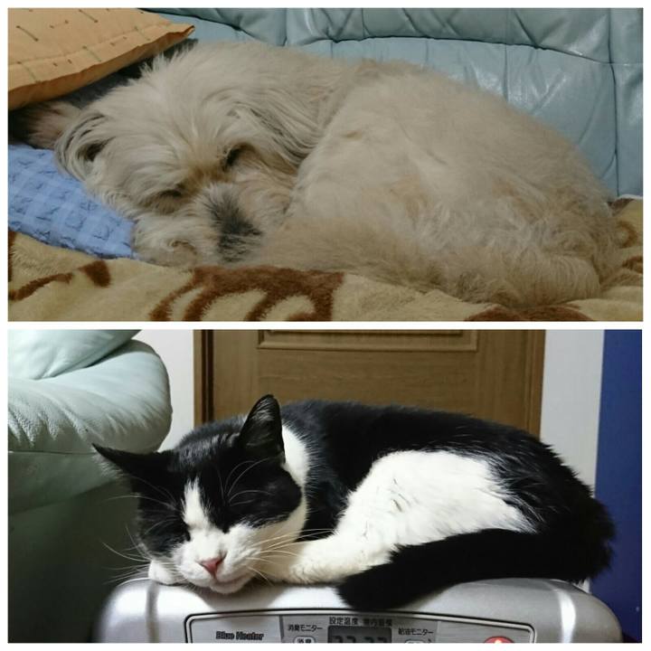 D71164c5 69dd 4a78 a618 fb52eab3eaf4