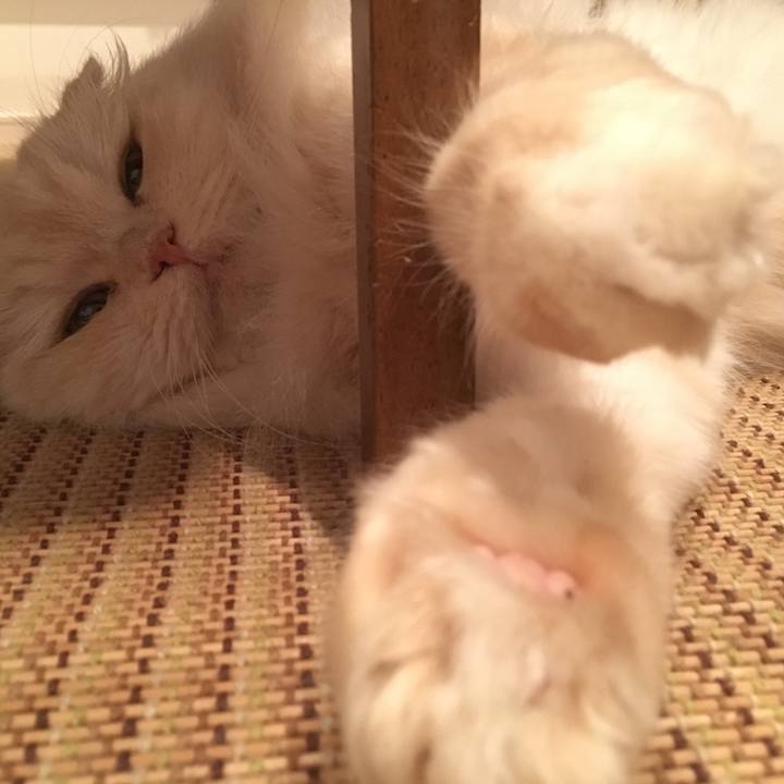 D711652c 2afa 4ba9 bebb c40bd236ed13