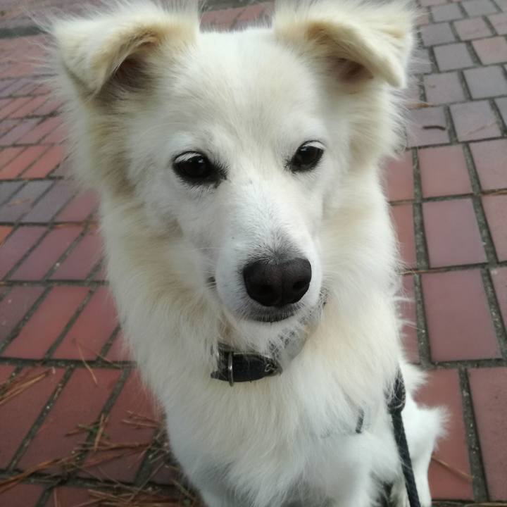 D71203b5 2da6 4345 a00f 74785bf1c321