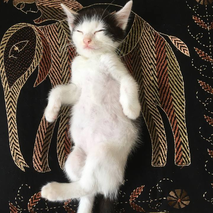 D712610a 0c1d 4076 bf00 9a531db94d0c