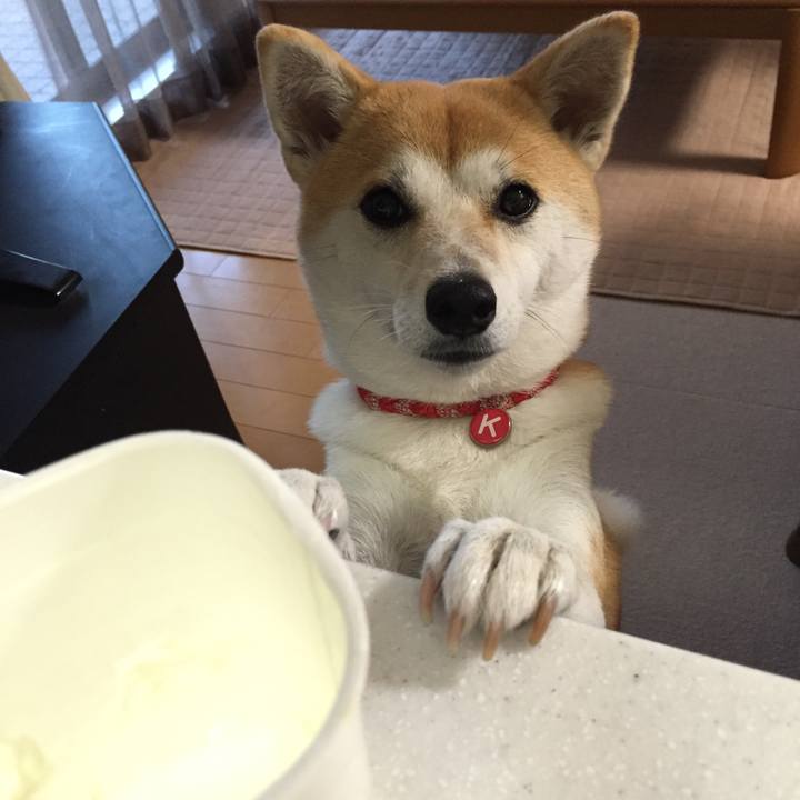 D712a20a 6025 4966 9991 29b81c4ed1a0