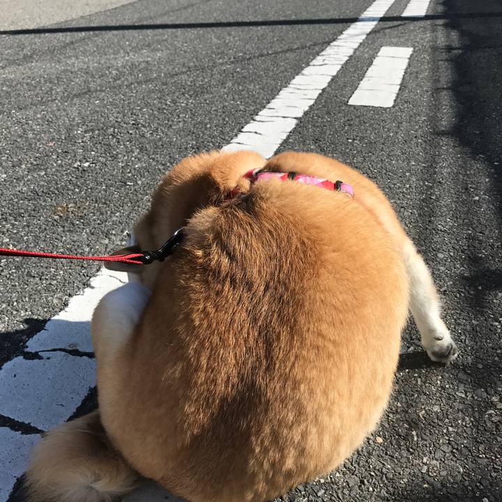 D7145f1e e675 453b 8b7a 4c41f4964c0b