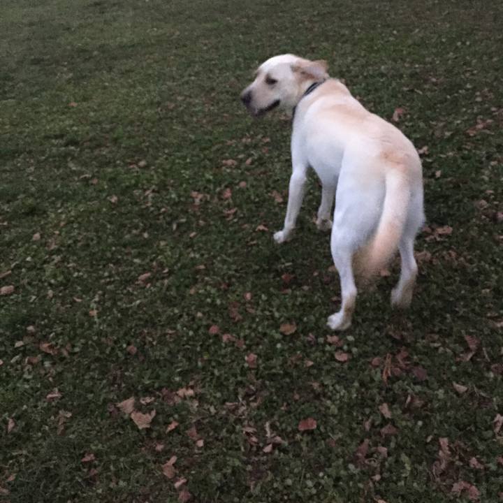 D7147340 a197 4549 b691 b442d583e0db