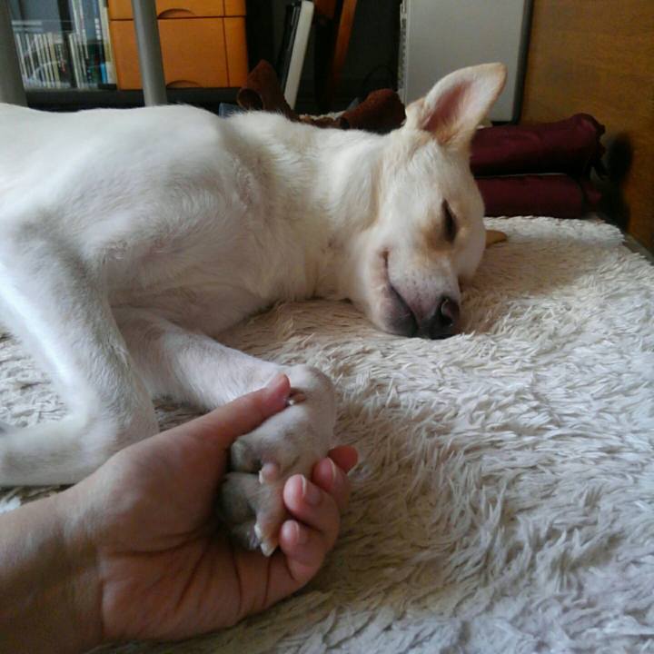 D714e49e d90b 4807 8ca0 2985bcad4e34