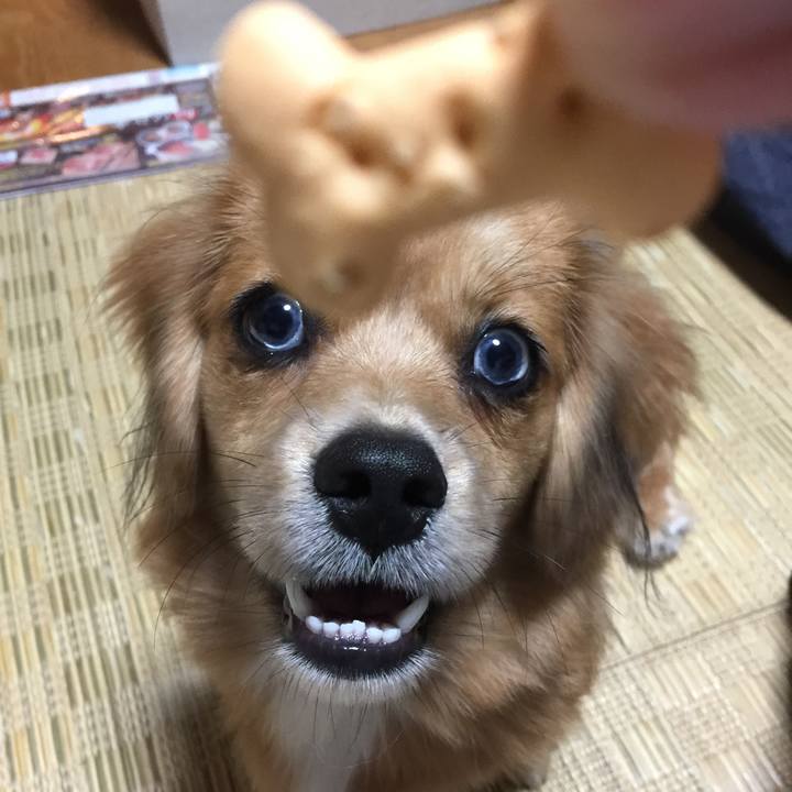 D714f547 c7bb 4ea0 9416 d417c5f4208d