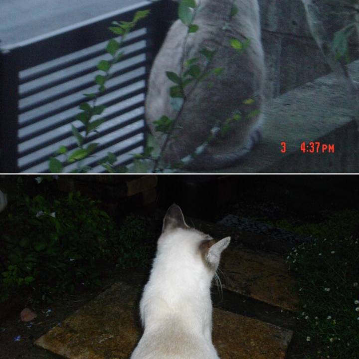 D714fd2d 84fb 4e80 a791 399c30d2021c