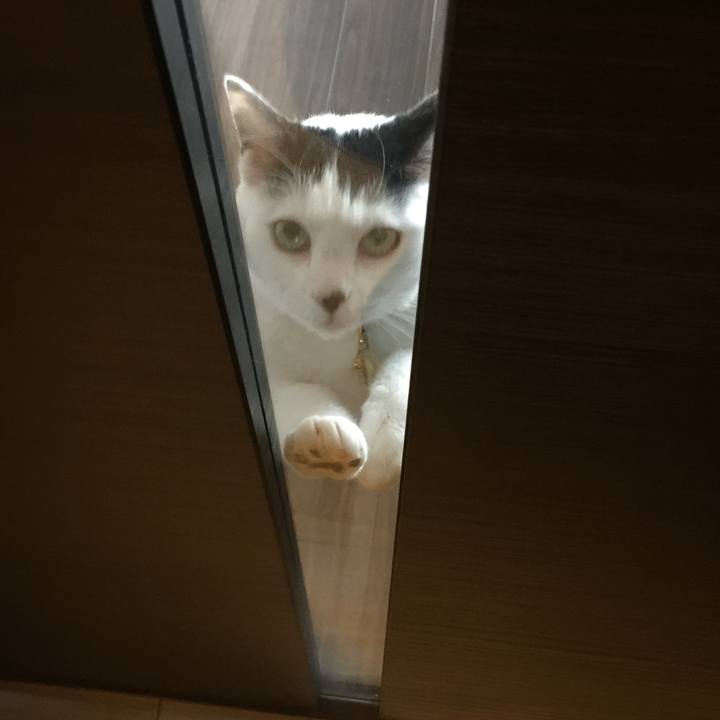 D71645a3 0d82 410c 9874 08c00d1f6808