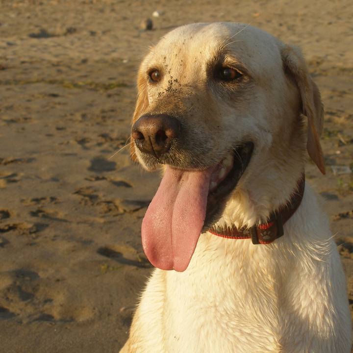 D7168c94 4147 4a82 96ca ad1c7d244997