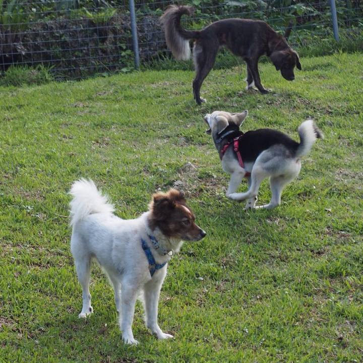 D716ac72 f7e1 45a0 a0d0 6e3ef9661c78