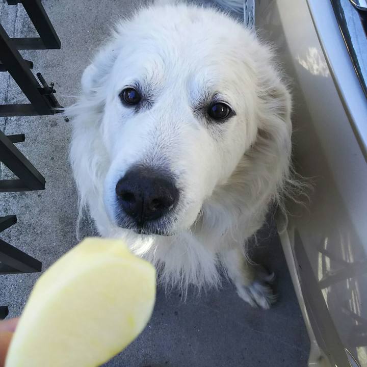 D717042d e0c8 4a14 bca3 9a9fc203fc58